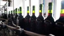Castilla-La Mancha pedirá apoyo europeo ante posibles sanciones rusas al vino por el conflicto de Ucrania