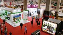 Castilla-La Mancha brinda por el regreso de la Feria del Vino más importante de España