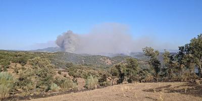 El fuego, que empezó en los montes de Chillón, saltó a la dehesa en poco tiempo por las rachas de viento 