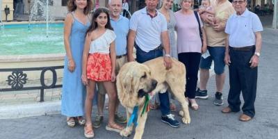 Un perro mastín de Miguelturra (Ciudad Real), nombrado el más bonito del mundo