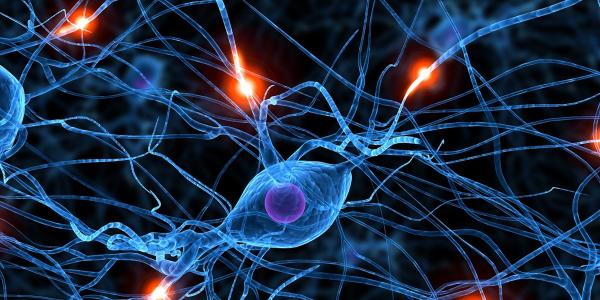 Foren Basic: Realidad Virtual Para Proteger Las Neuronas