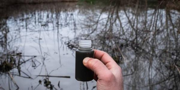 El 63% de las aguas subterráneas de Castilla-La Mancha están contaminadas por nitratos