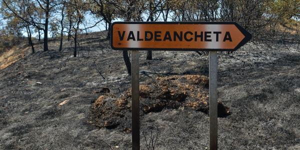 Extinguido el incendio declarado en una pedanía de Humanes que ha quemado 1.600 hectáreas