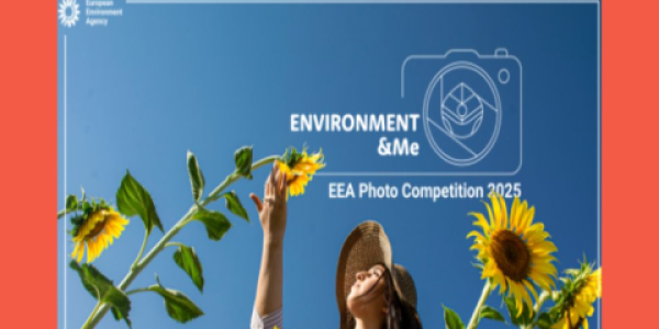 Concurso de fotografía Environment & Me